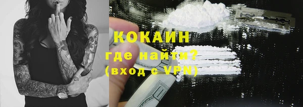 прущие грибы Пересвет
