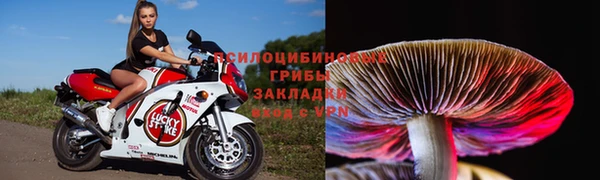 скорость Приозерск