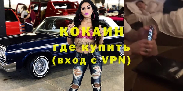 прущие грибы Пересвет
