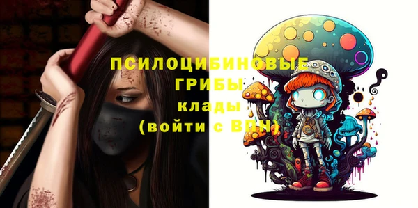спиды Протвино