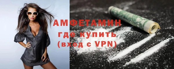 прущие грибы Пересвет