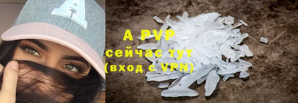 ПСИЛОЦИБИНОВЫЕ ГРИБЫ Болотное