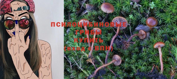 а пвп мука Пестово