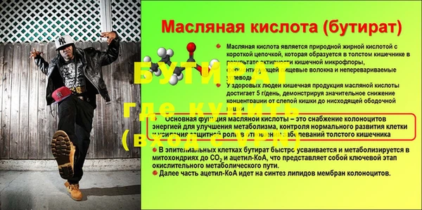 прущие грибы Пересвет