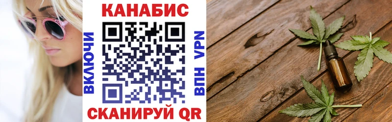 Каннабис сатива  Бакал 